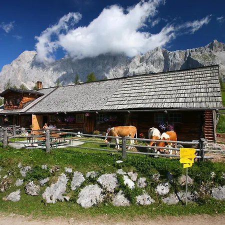 Apartment Enns By Schladmingurlaub *
